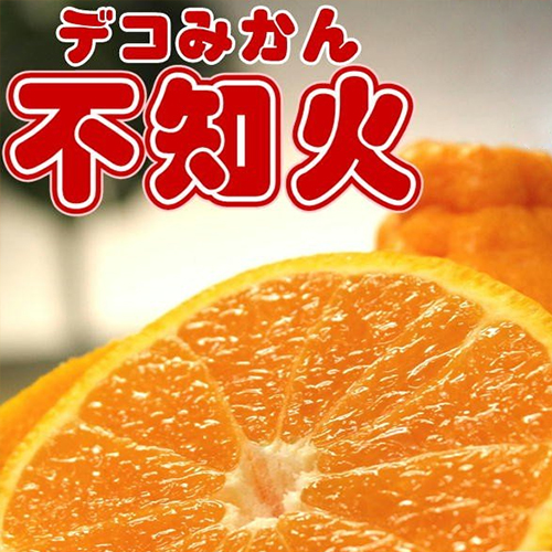 不知火 デコポン